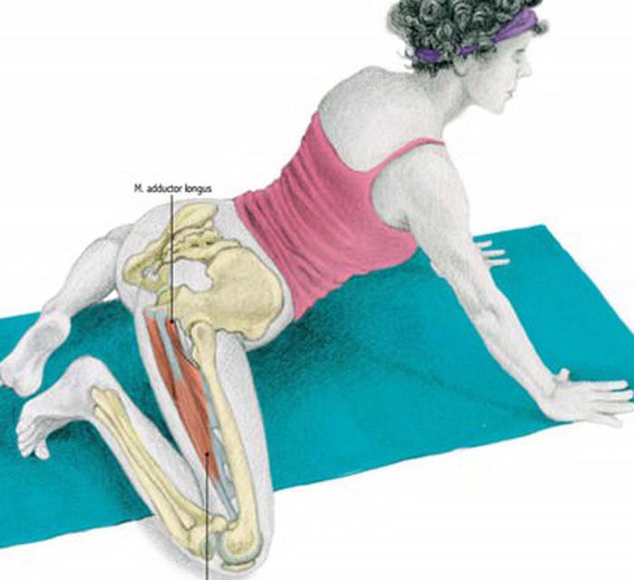 Упражнение ЛЯГУШКА 4 вида для растяжки ног, пресса и